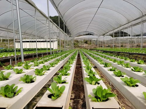 電商風(fēng)采 電子商務(wù)的變革與未來(lái)