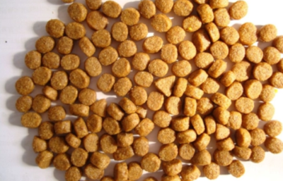 寵物糧食加工廠 機遇、挑戰與前景分析