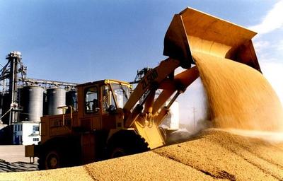 解讀糧食消費大數據 端穩飯碗，品味變遷中的糧食加工