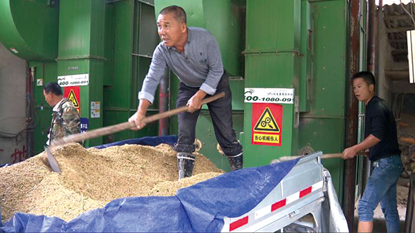 微網格長出手，破解“曬糧難”助力糧食加工