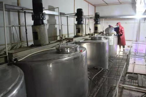 山西陽城 深耕糧食加工鏈條，賦能鄉村產業振興